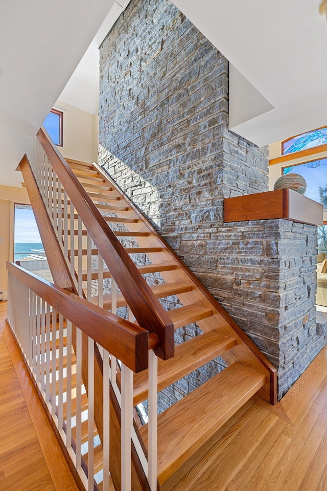 stairs featuring wood finished floors