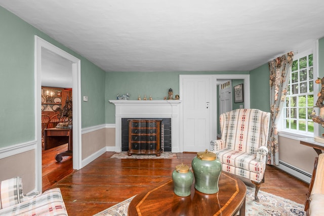 350 Plum St, West Barnstable, MA 02668 - living room featuring a baseboard radiator, a fireplace with flush hearth, wood finished floors, and baseboards