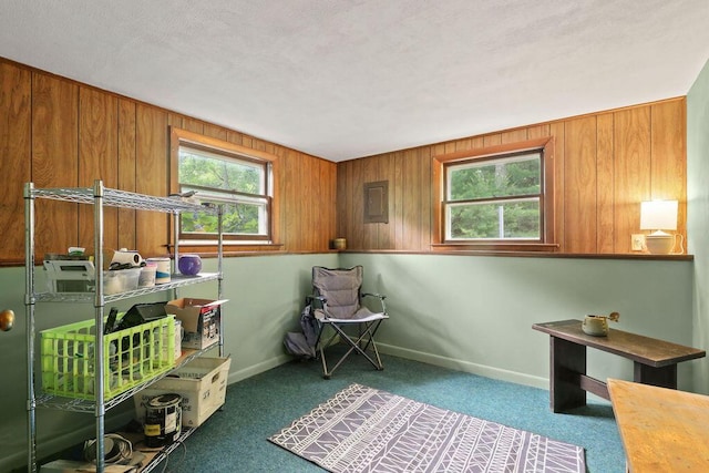 566 County Rd, Pocasset, MA 02559 - carpeted bedroom featuring wooden walls