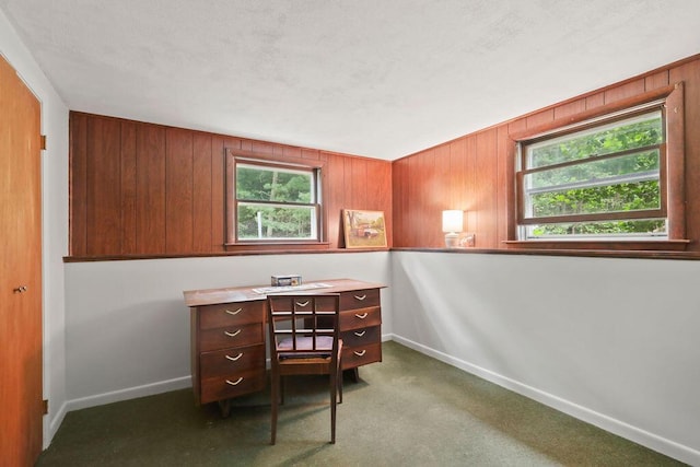 566 County Rd, Pocasset, MA 02559 - office with wood walls and carpet flooring