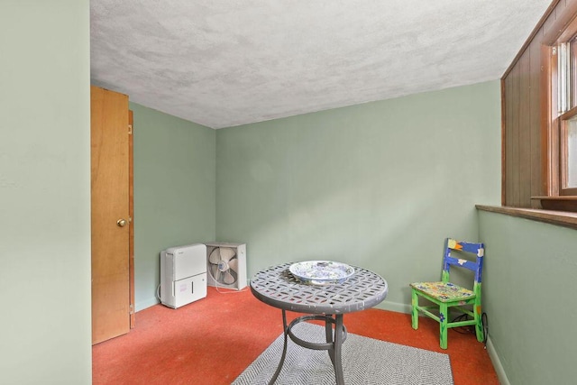 566 County Rd, Pocasset, MA 02559 - playroom with carpet and a textured ceiling
