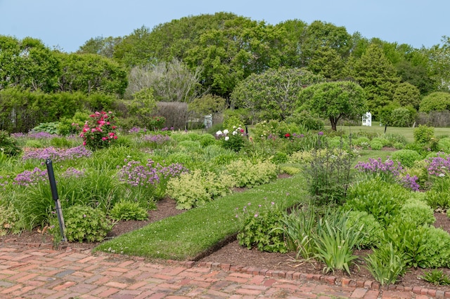 17 Indian Trl, Osterville, MA 02655 - photo 11