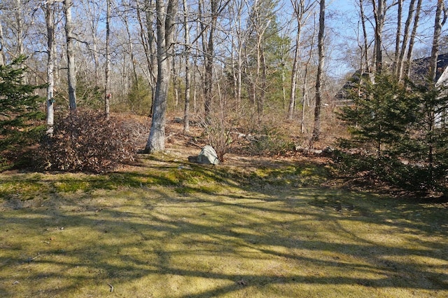 103 Moco Rd, West Barnstable, MA 02668 - view of grassy yard