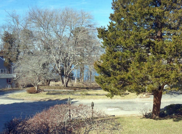 103 Moco Rd, West Barnstable, MA 02668 - view of yard