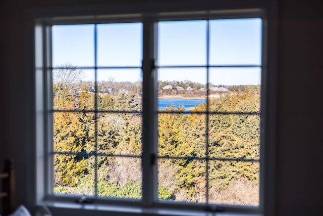 room details with a water view