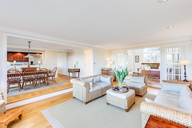 living room featuring crown molding and light hardwood / wood-style flooring