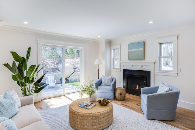 213 N Falmouth Hwy Unit 5B, North Falmouth, MA 02556 - living room with crown molding, plenty of natural light, a lit fireplace, wood finished floors, and recessed lighting
