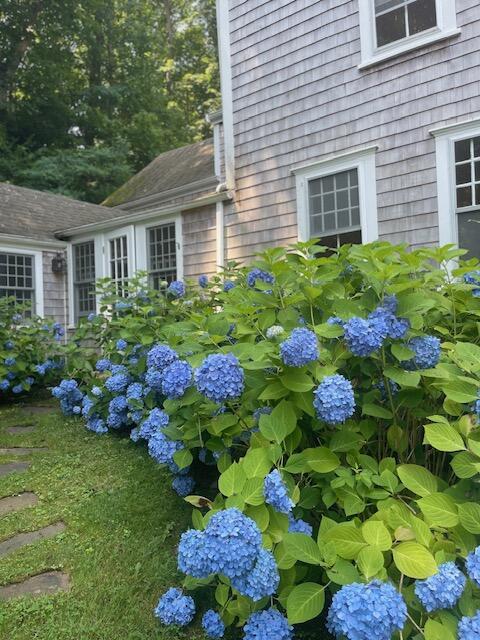 118 Main St, Sandwich, MA 02563 - photo 28