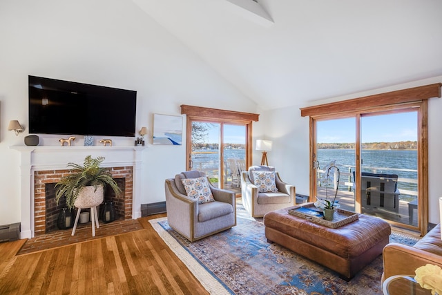 living room with a water view, a fireplace, wood finished floors, and a healthy amount of sunlight