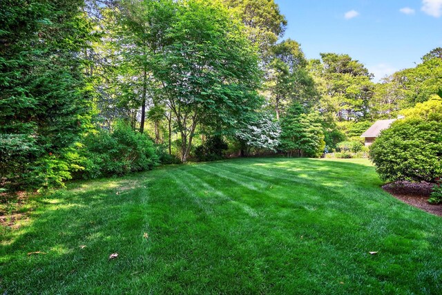 69 Russet Rd, Brewster, MA 02631 - photo 60