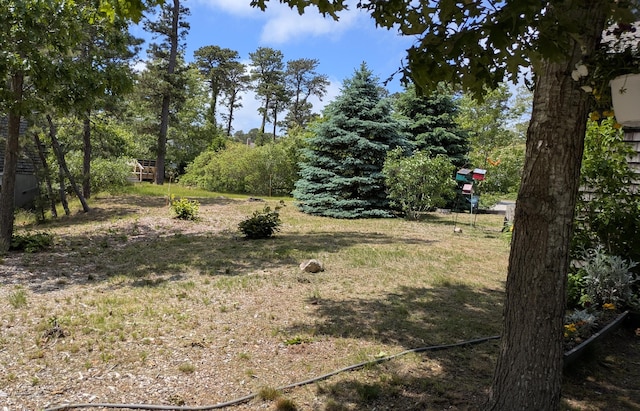 13 Pilgrim Ln, Eastham, MA 02642 - view of yard