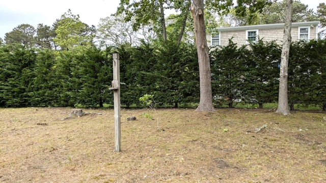 13 Pilgrim Ln, Eastham, MA 02642 - view of yard