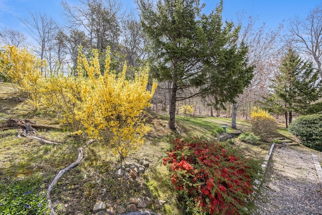9 Courier Dr, Dennis, MA 02638