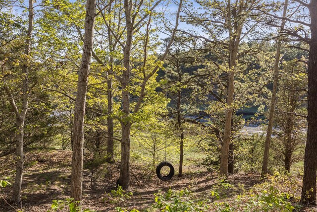 50 Higgins Ln, Wellfleet, MA 02667 - photo 35