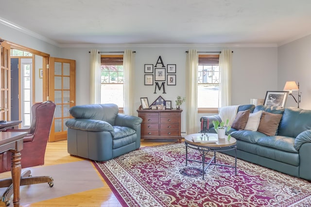 living room featuring crown molding and light hardwood / wood-style floors