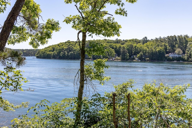 property view of water