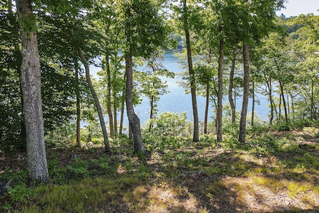 view of nature with a water view