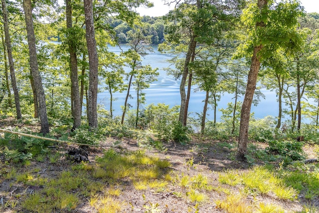 view of landscape featuring a water view