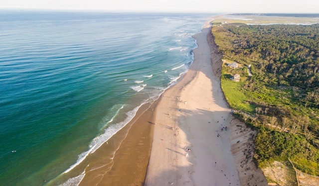 drone / aerial view with a beach view and a water view