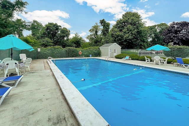 view of swimming pool with a patio and a shed