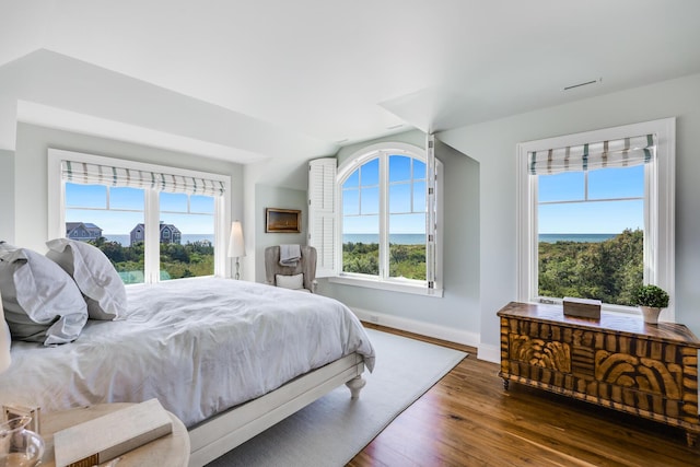 bedroom with baseboards, multiple windows, and wood finished floors