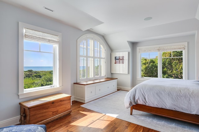 bedroom featuring wood finished floors, visible vents, lofted ceiling, and multiple windows