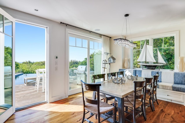 dining room with wood finished floors, a healthy amount of sunlight, and a notable chandelier
