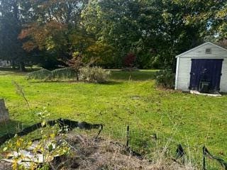 view of yard with a storage shed