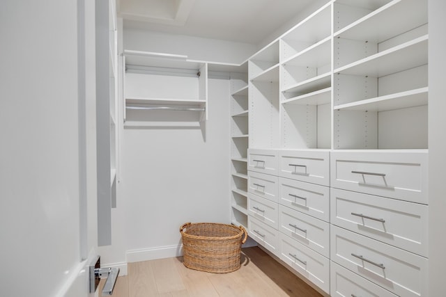 walk in closet featuring wood finished floors