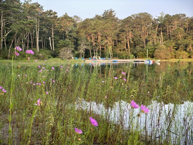 92 John Joseph Rd, Harwich, MA 02645 - water view featuring a heavily wooded area