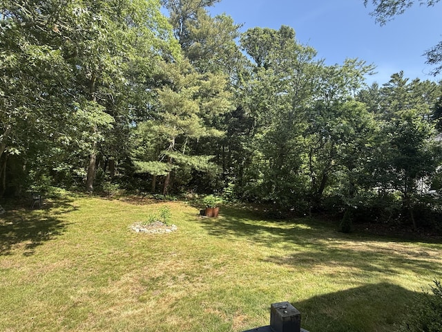 18 Staysail Cir, Marstons Mills, MA 02648 - view of grassy yard with a forest view