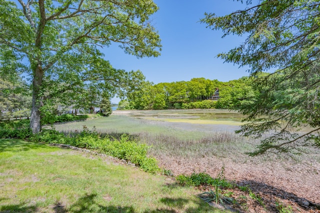 22 Wallace Pt, Buzzards Bay, MA 02532 - view of yard