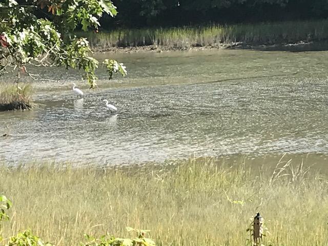 22 Wallace Pt, Buzzards Bay, MA 02532 - view of home's community with a water view