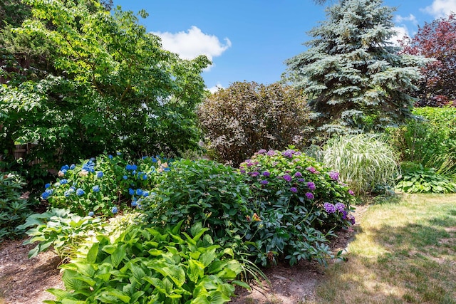 3 Waterside Dr, North Falmouth, MA 02556 - view of yard