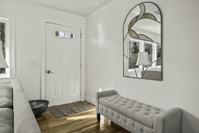 entryway featuring dark hardwood / wood-style floors and ornamental molding