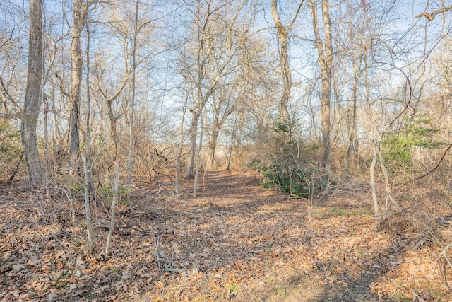 view of local wilderness