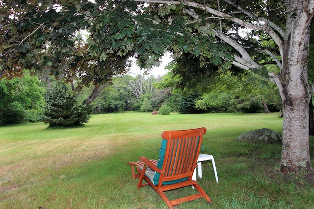 958 Long Pond Rd, Brewster, MA 02631 - photo 7