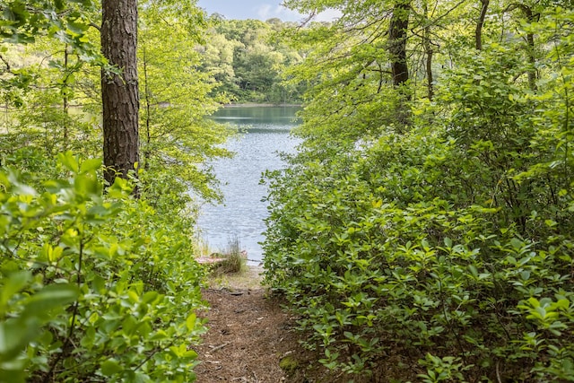 43 Owl Pond Rd, Brewster, MA 02631 - water view featuring a forest