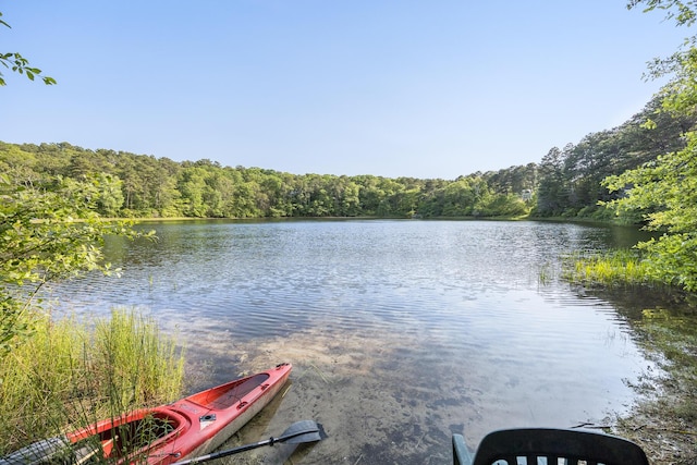 43 Owl Pond Rd, Brewster, MA 02631 - water view with a forest