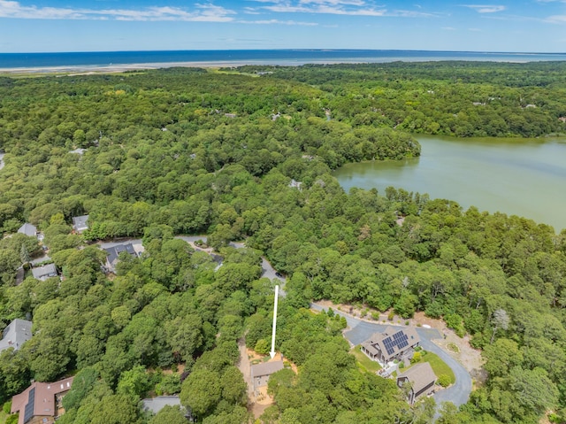 64 Cranes Ln, Brewster, MA 02631 - photo 50