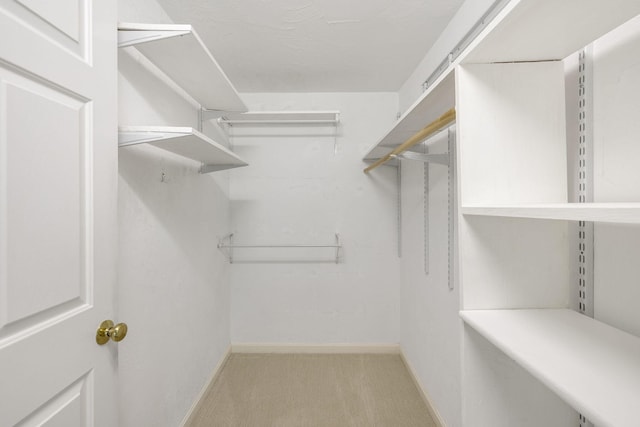 15 Pebble Beach Ave, Mashpee, MA 02649 - walk in closet with carpet floors