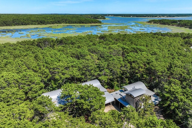 bird's eye view with a water view