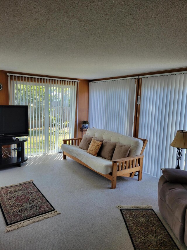 living room with carpet and a textured ceiling