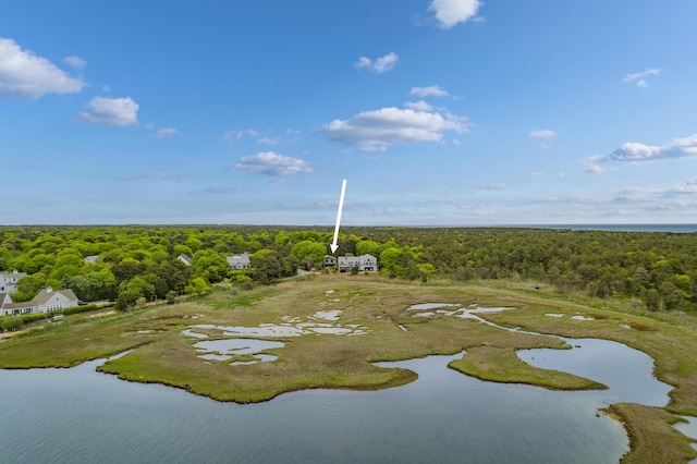 128 Whippoorwill Cir, Mashpee, MA 02649 - bird's eye view of a heavily wooded area and a large body of water