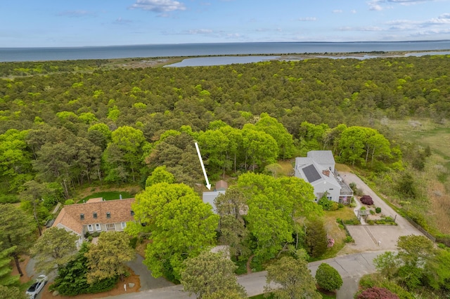 128 Whippoorwill Cir, Mashpee, MA 02649 - bird's eye view of a heavily wooded area and a large body of water