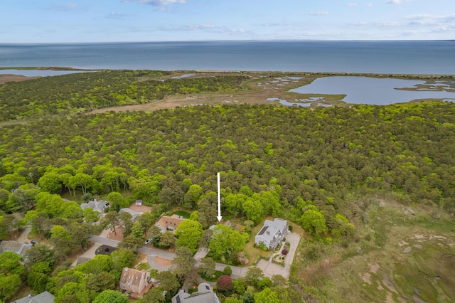 128 Whippoorwill Cir, Mashpee, MA 02649 - aerial overview of property's location featuring a nearby body of water and a forest