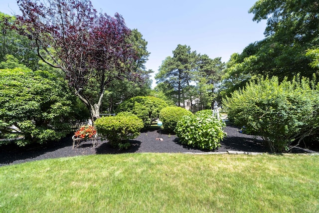 4 Square Rigger Ln, Hyannis, MA 02601 - view of grassy yard