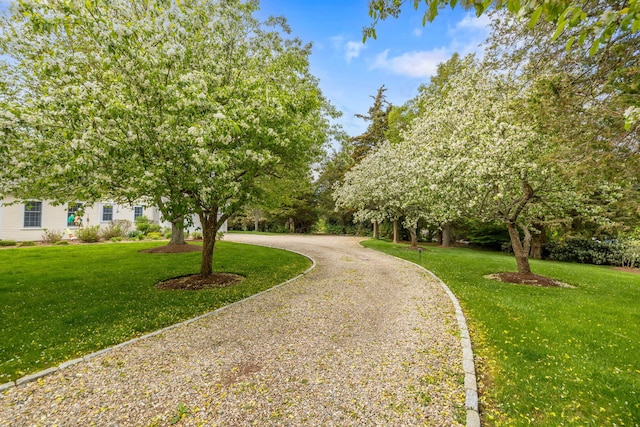 46 Freeman Ln, Orleans, MA 02653 - surrounding community with a lawn and driveway
