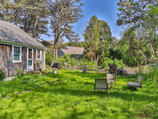 view of yard