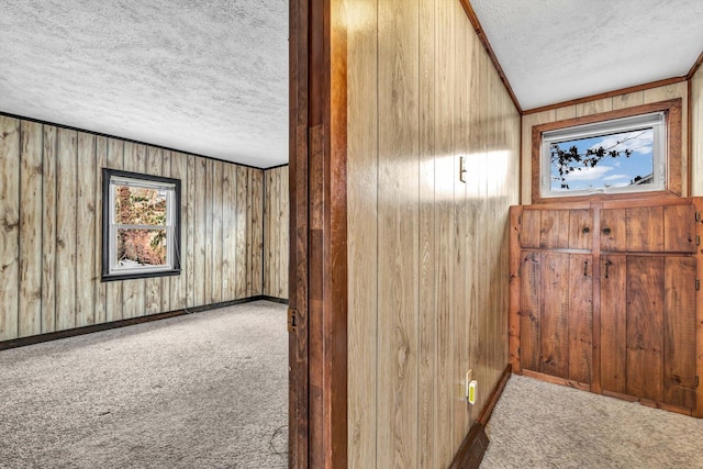 interior space with ornamental molding, a textured ceiling, carpet, and wood walls